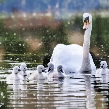 Glamping With A View Сasa de vacaciones *