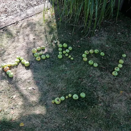 Glamping With A View * Smlednik