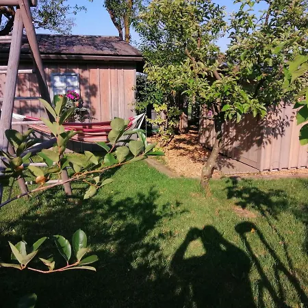 Glamping With A View