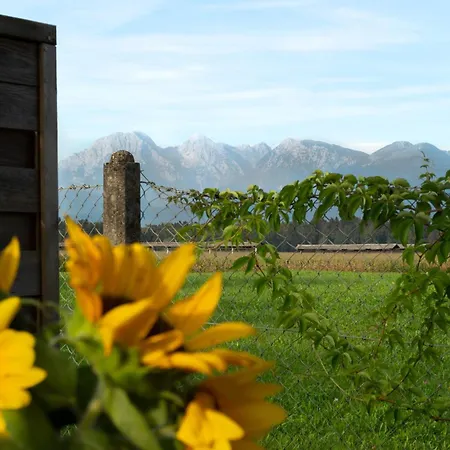 Glamping With A View بيت للعطل