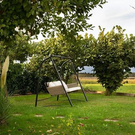 Glamping With A View