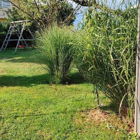 Glamping With A View