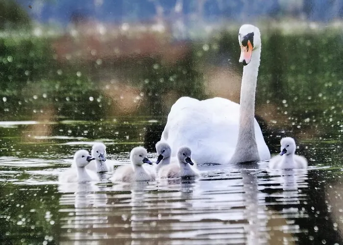 Glamping With A View Casa vacanze *