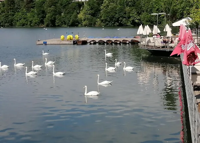 Glamping With A View *