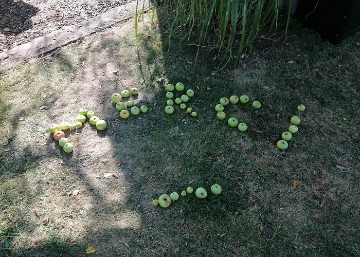 Glamping With A View * Smlednik