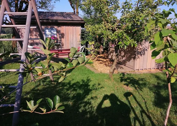 Glamping With A View