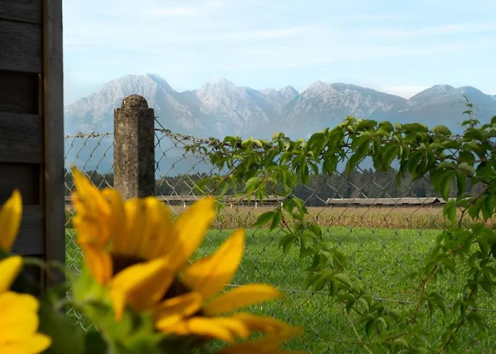 Glamping With A View Casa vacanze